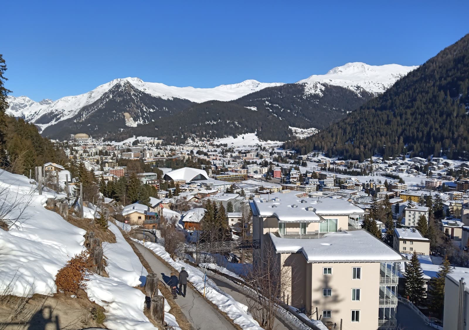 Alpine Escape & Wellness