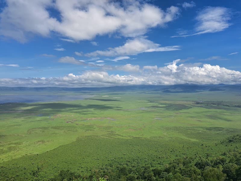 Ngorongoro