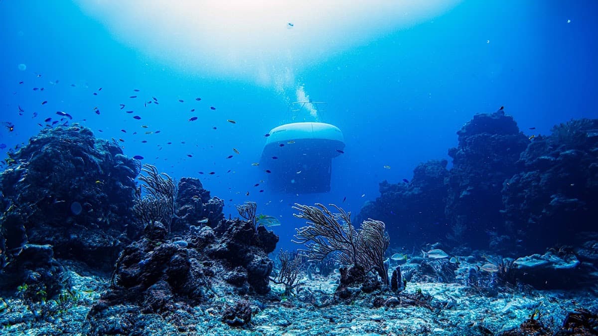 Atlantis Submarines Cozumel