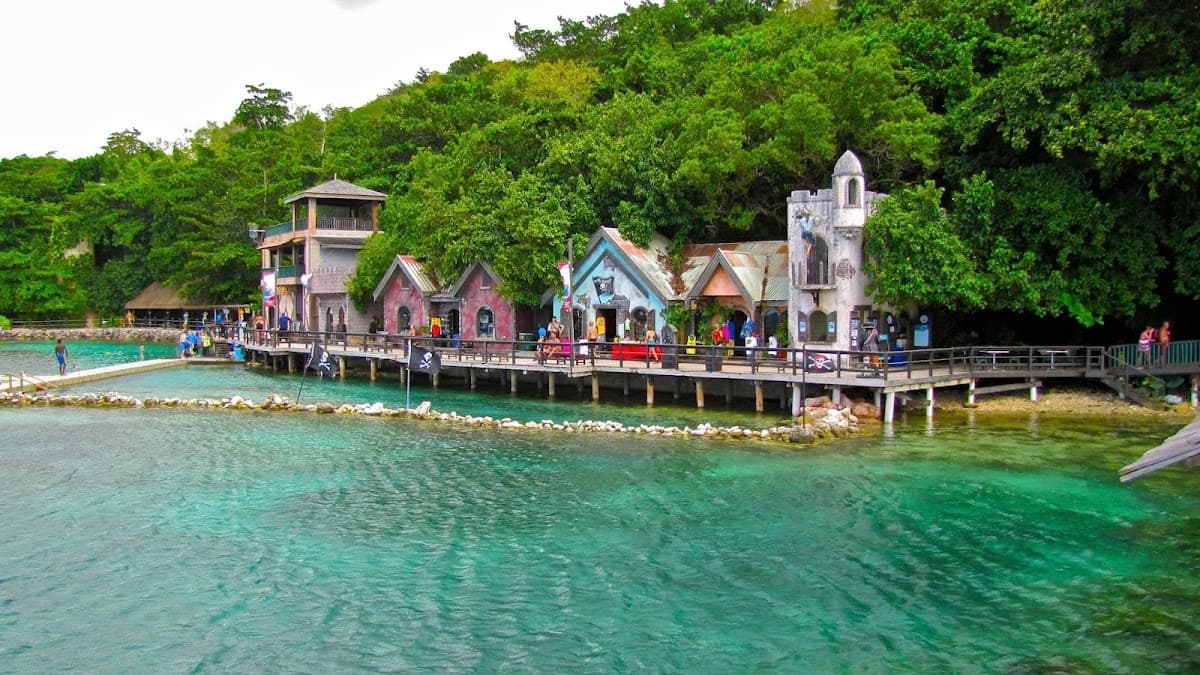 Dolphin Cove