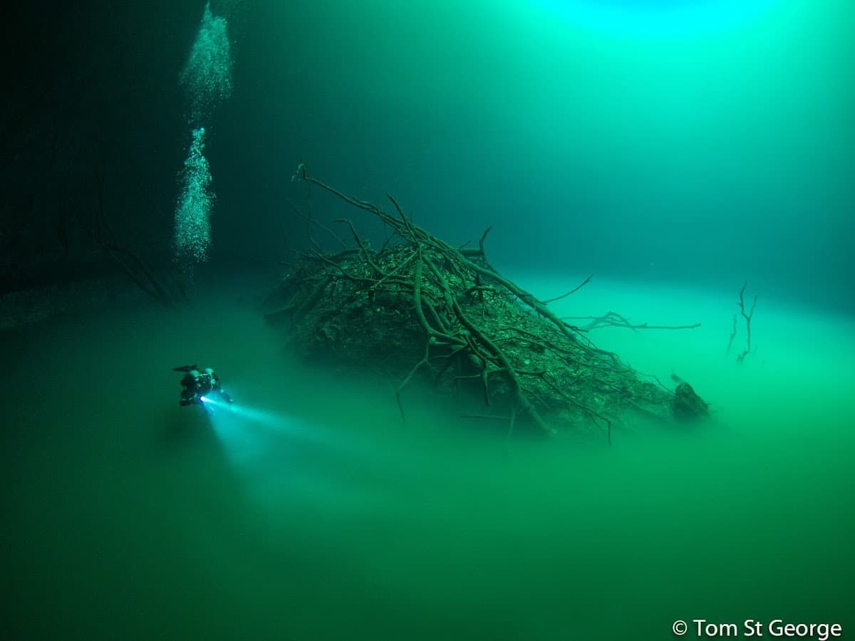 La Calypso Dive Center - Cenote diving
