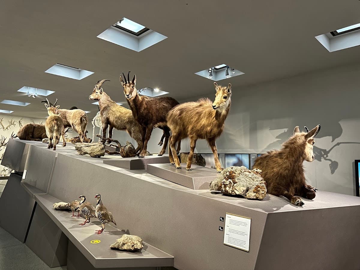 Liechtensteinisches LandesMuseum
