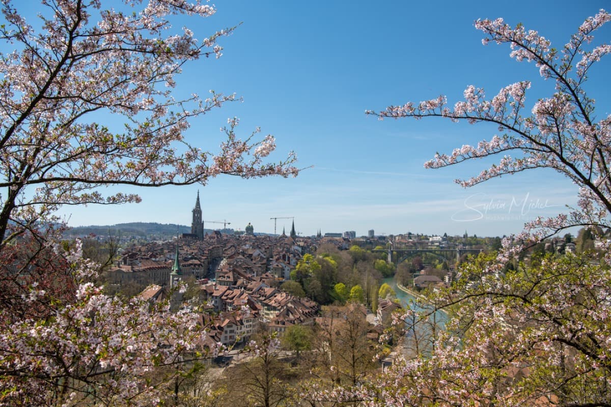 Rosengarten Bern