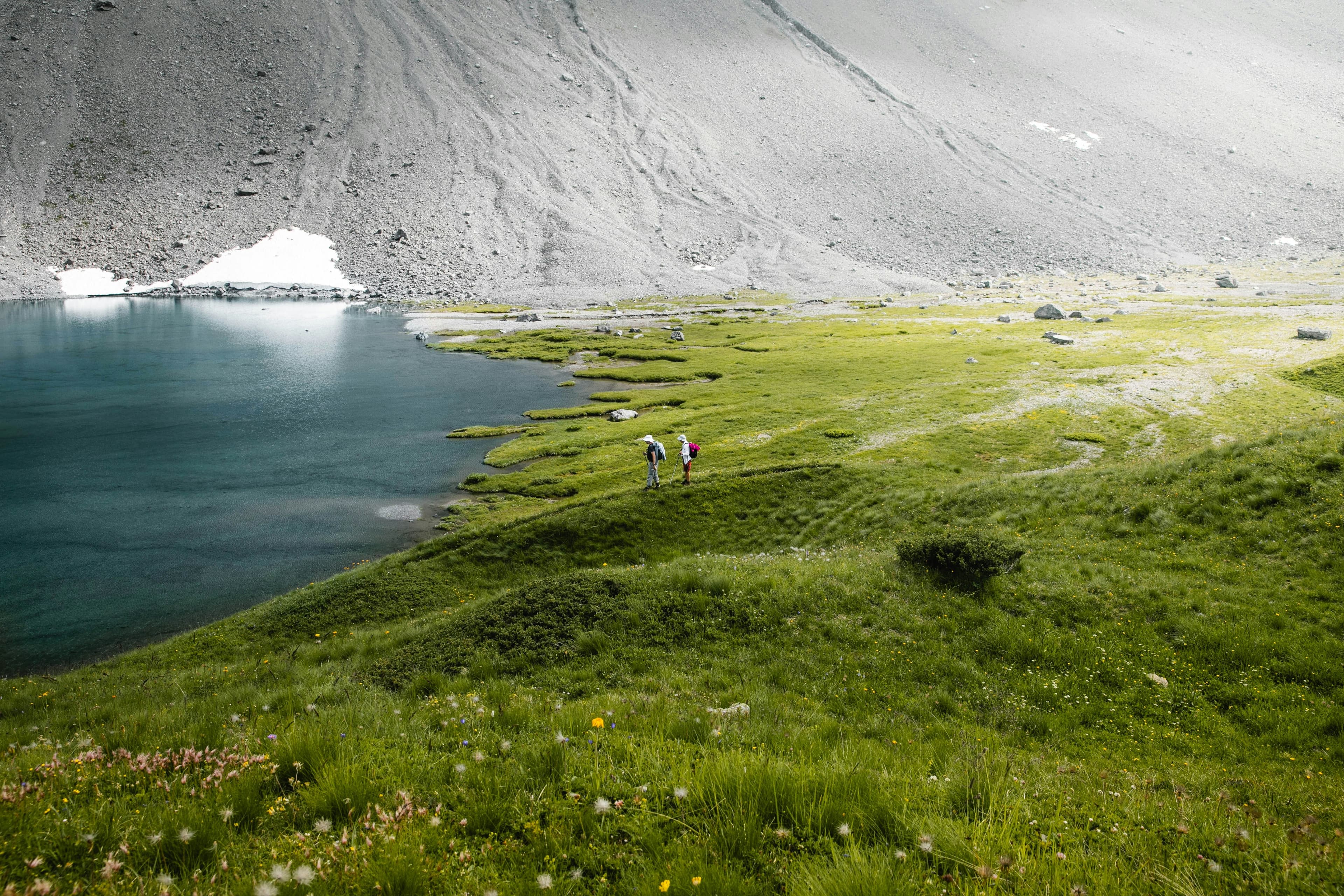 Arosa